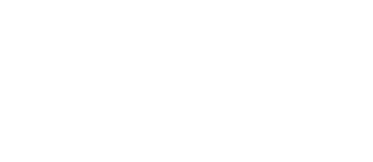 Website-Logos-02A3_Acino-768x333